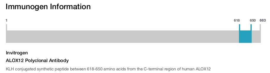 ALOX12 Polyclonal Antibody
