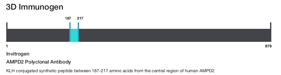 AMPD2 Polyclonal Antibody
