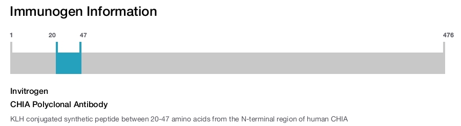 CHIA Polyclonal Antibody