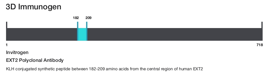 EXT2 Polyclonal Antibody
