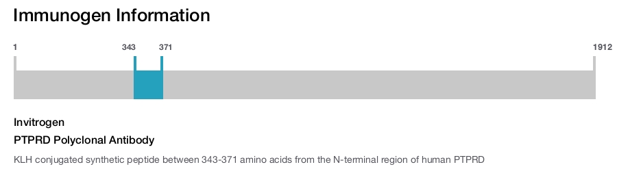 PTPRD Polyclonal Antibody