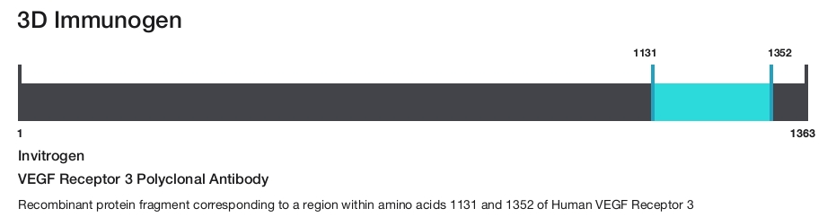 VEGF Receptor 3 Polyclonal Antibody
