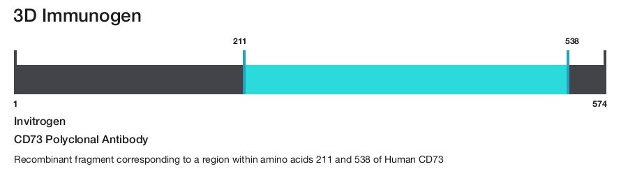 CD73 Polyclonal Antibody