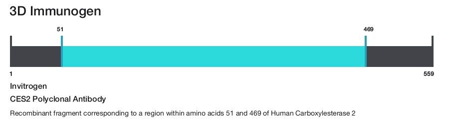 CES2 Polyclonal Antibody