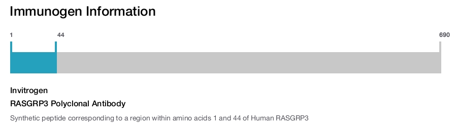 RASGRP3 Polyclonal Antibody