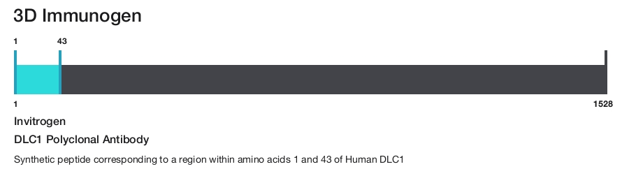 DLC1 Polyclonal Antibody