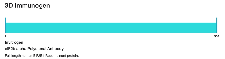 eIF2b alpha Polyclonal Antibody