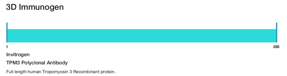 TPM3 Polyclonal Antibody