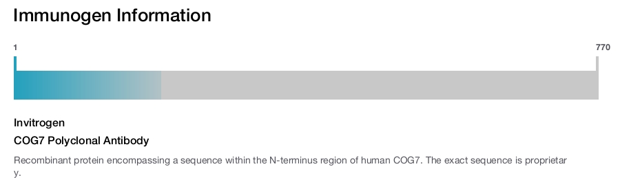 COG7 Polyclonal Antibody