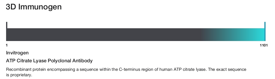 ATP Citrate Lyase Polyclonal Antibody
