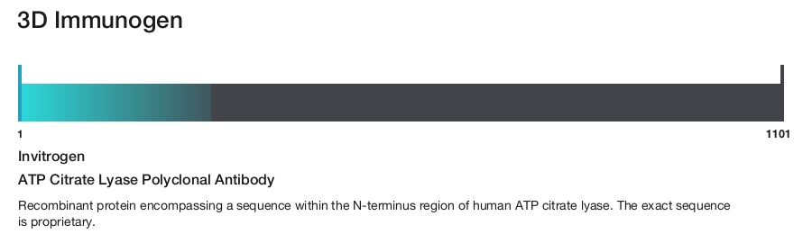 ATP Citrate Lyase Polyclonal Antibody