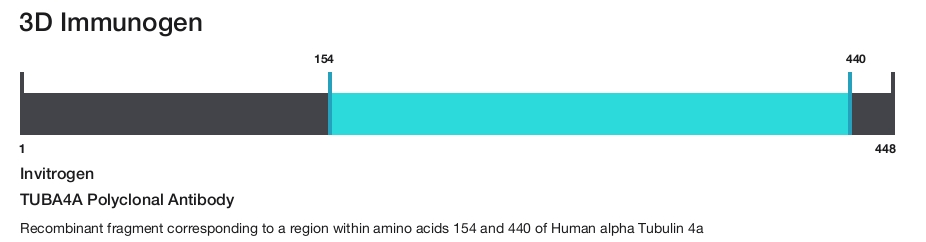 TUBA4A Polyclonal Antibody