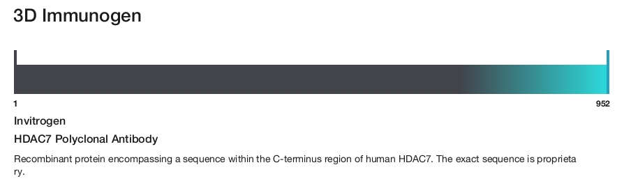 HDAC7 Polyclonal Antibody
