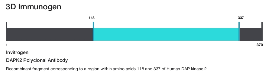 DAPK2 Polyclonal Antibody