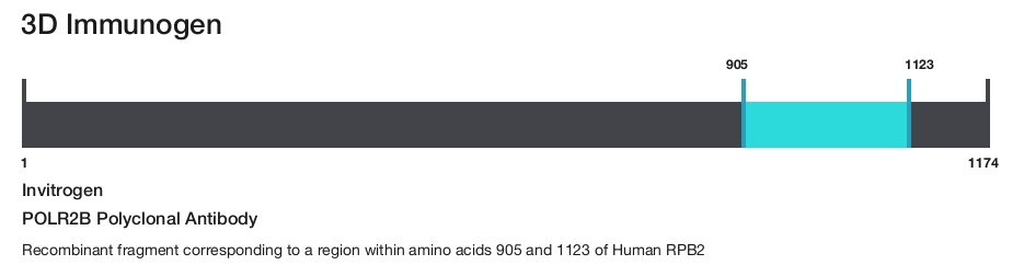POLR2B Polyclonal Antibody