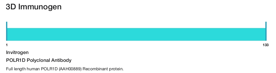 POLR1D Polyclonal Antibody