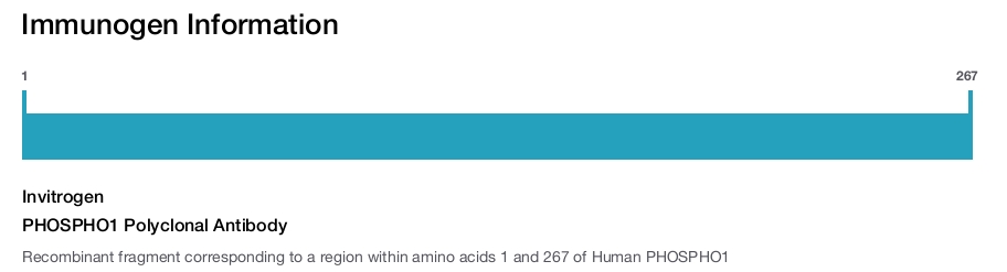 PHOSPHO1 Polyclonal Antibody