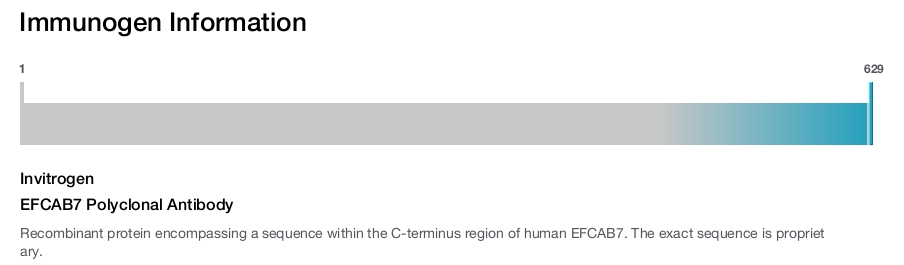 EFCAB7 Polyclonal Antibody