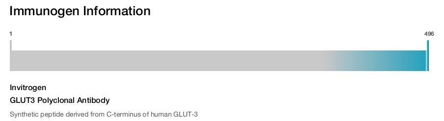 GLUT3 Polyclonal Antibody