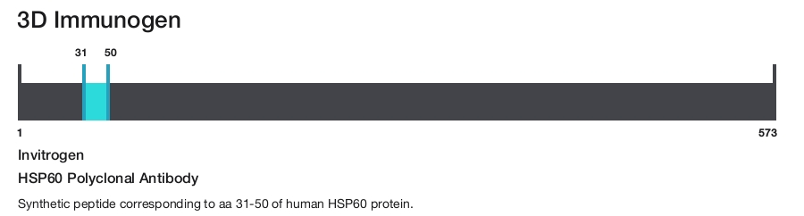 HSP60 Polyclonal Antibody