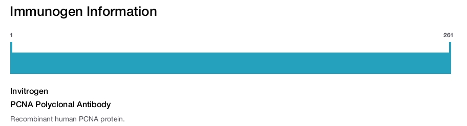 PCNA Polyclonal Antibody