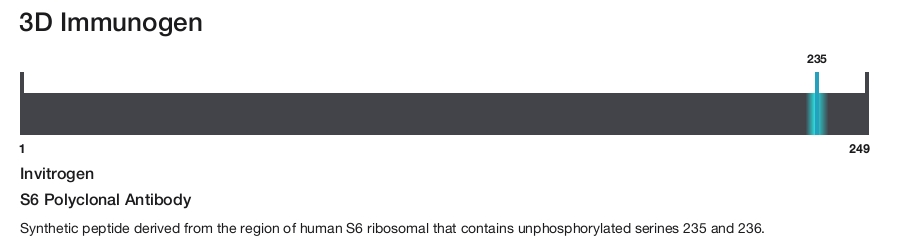 S6 Polyclonal Antibody