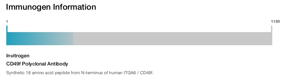 CD49f Polyclonal Antibody