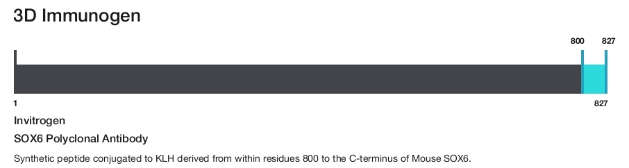 SOX6 Polyclonal Antibody