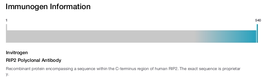 RIP2 Polyclonal Antibody