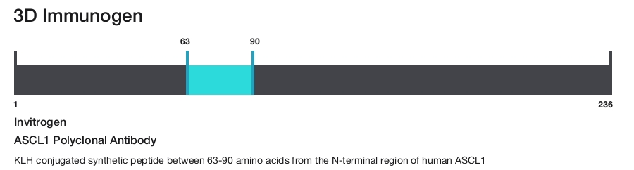 ASCL1 Polyclonal Antibody