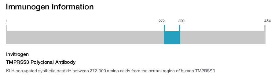 TMPRSS3 Polyclonal Antibody
