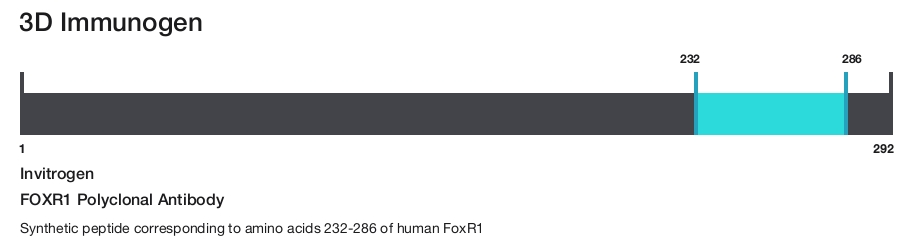FOXR1 Polyclonal Antibody