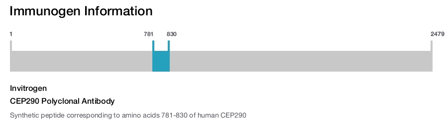 CEP290 Polyclonal Antibody