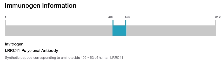 LRRC41 Polyclonal Antibody