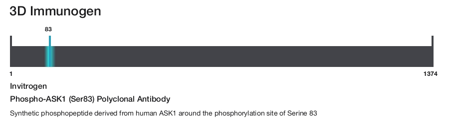 Phospho-ASK1 (Ser83) Polyclonal Antibody