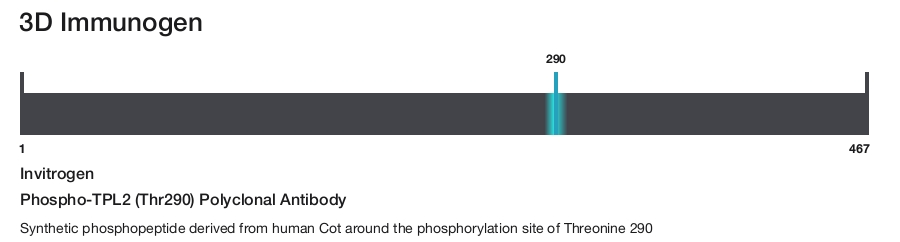 Phospho-TPL2 (Thr290) Polyclonal Antibody