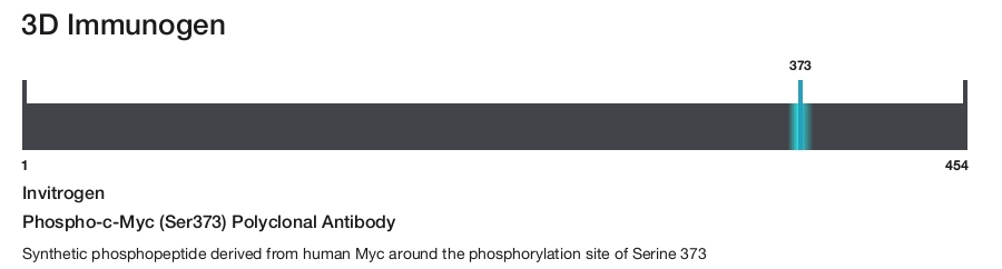 Phospho-c-Myc (Ser373) Polyclonal Antibody