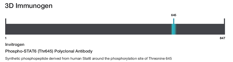 Phospho-STAT6 (Thr645) Polyclonal Antibody