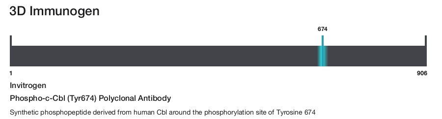 Phospho-c-Cbl (Tyr674) Polyclonal Antibody