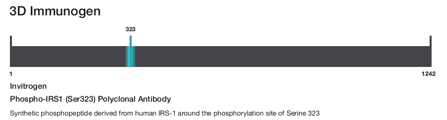 Phospho-IRS1 (Ser323) Polyclonal Antibody
