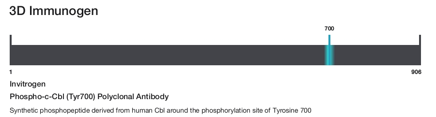 Phospho-c-Cbl (Tyr700) Polyclonal Antibody
