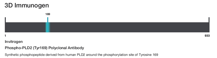 Phospho-PLD2 (Tyr169) Polyclonal Antibody