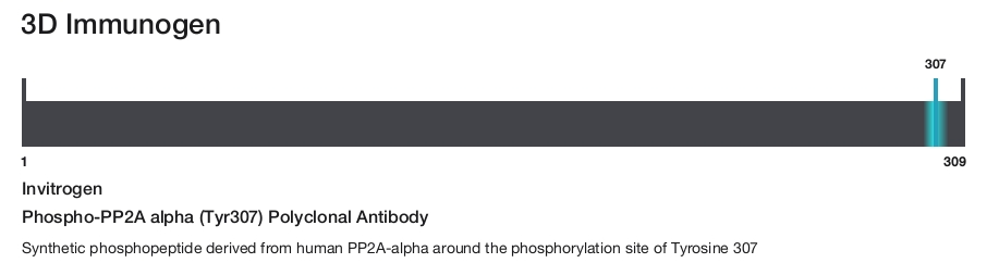 Phospho-PP2A alpha (Tyr307) Polyclonal Antibody
