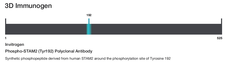Phospho-STAM2 (Tyr192) Polyclonal Antibody