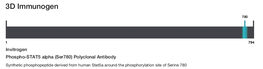 Phospho-STAT5 alpha (Ser780) Polyclonal Antibody