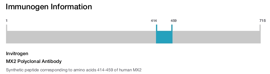 MX2 Polyclonal Antibody