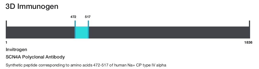 SCN4A Polyclonal Antibody
