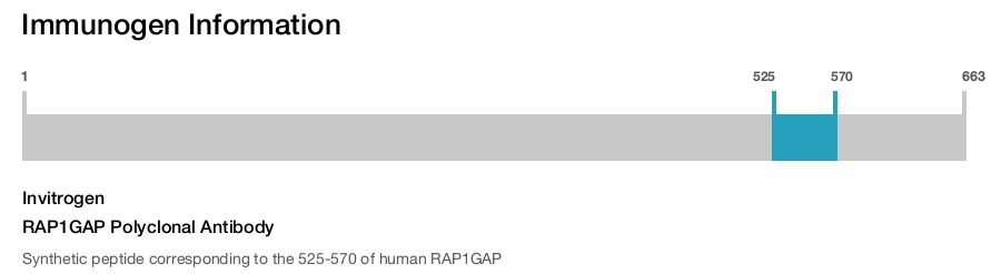 RAP1GAP Polyclonal Antibody