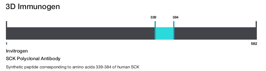 SCK Polyclonal Antibody
