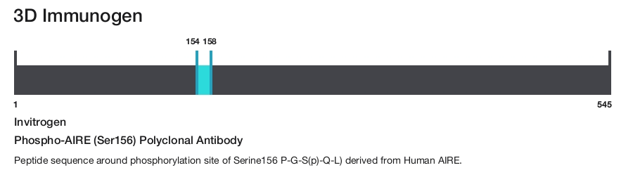 Phospho-AIRE (Ser156) Polyclonal Antibody